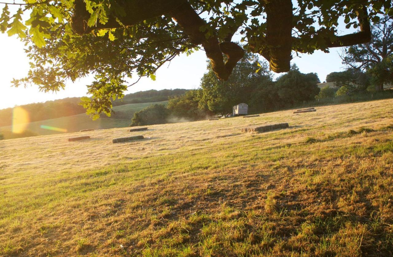 West Bagborough Tilbury Shepherd Huts With Hot Tubs Plus Holiday Cottages מראה חיצוני תמונה