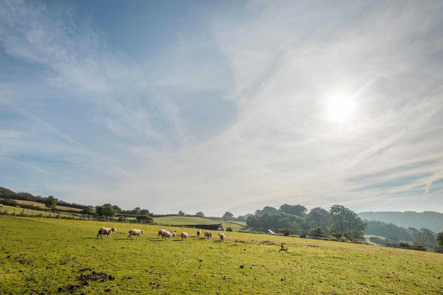 West Bagborough Tilbury Shepherd Huts With Hot Tubs Plus Holiday Cottages מראה חיצוני תמונה